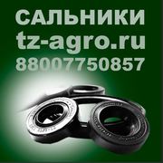 Манжета сальник купить