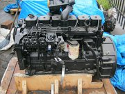 Двигатель для экскаватора Hyundai R320, R330, R300, R350 - Cummins 6C8