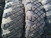Шины на амкодор,  погрузчики