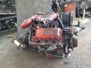 Контрактный двигатель Doosan (Daewoo) DV11 на автобус Daewoo